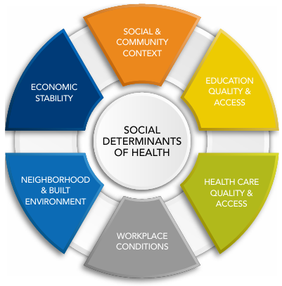 G. Abrams Figure 2 Social Determinants of Health